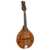 Barnes & Mullins BM600E Wimborne Mandolin with Pickup