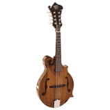 Barnes & Mullins BM650 Salvino Mandolin