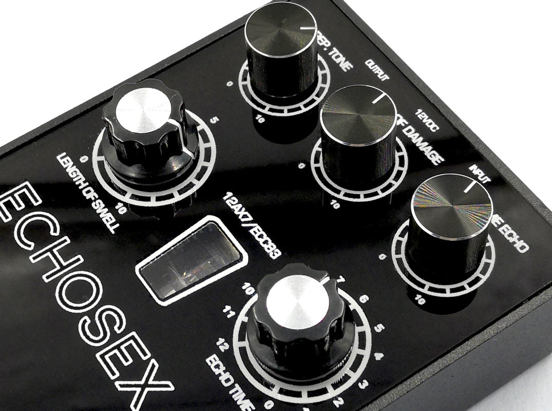 Gurus Echosex 3° (Hi Voltage preamp, Small box, With Tap Tempo)