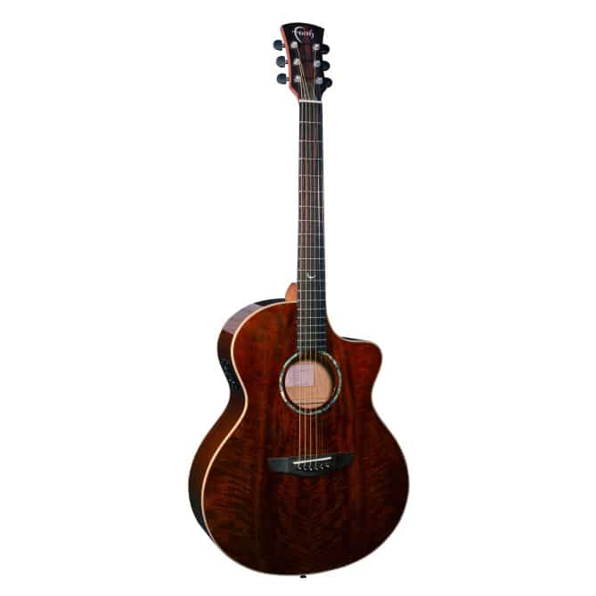 Faith Acoustic Electric Guitar in Dark Natural Gold with Case