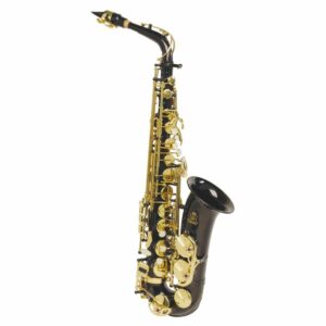Steinhoff Student Alto Saxophone