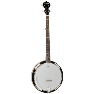 Tanglewood Union series 5 string banjo